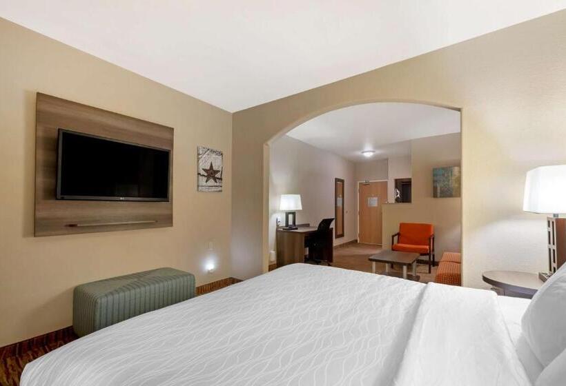 سوئیت با تخت بزرگ, Best Western Plus Dfw Airport Suites