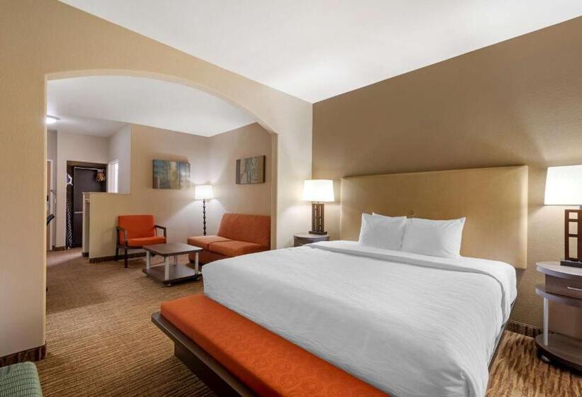 سوئیت با تخت بزرگ, Best Western Plus Dfw Airport Suites