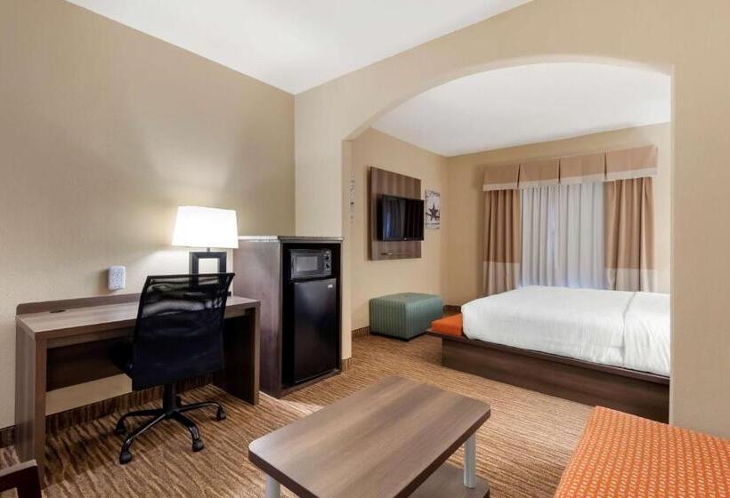سوئیت برای معلولان, Best Western Plus Dfw Airport Suites