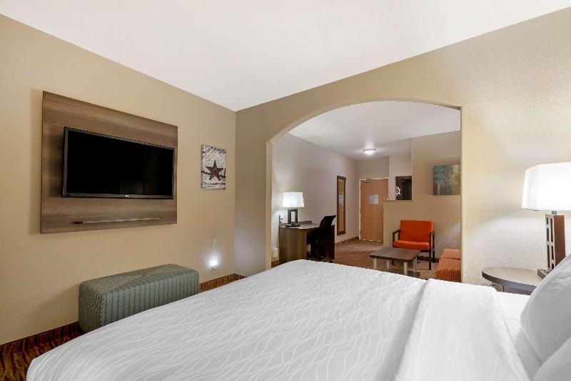 سوئیت با تخت بزرگ, Best Western Plus Dfw Airport Suites