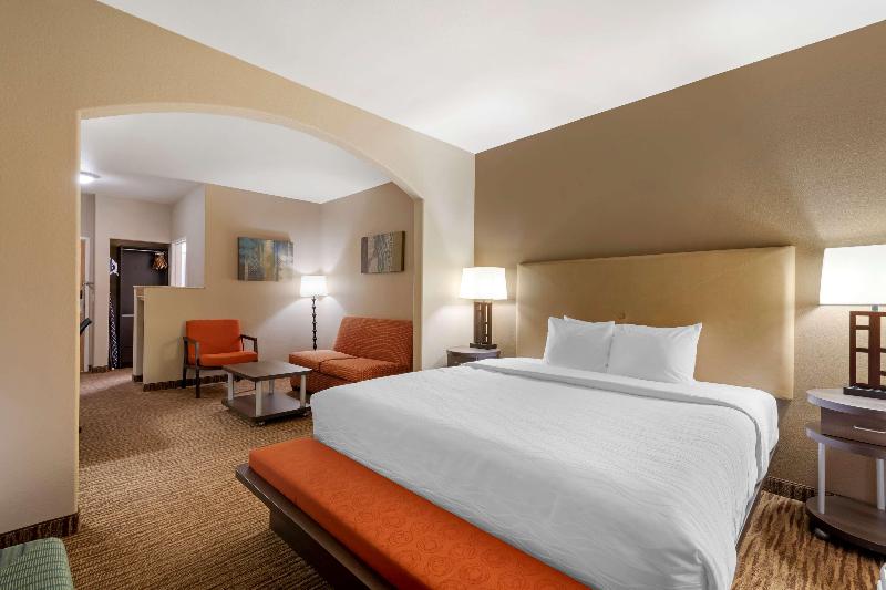 سوئیت با تخت بزرگ, Best Western Plus Dfw Airport Suites