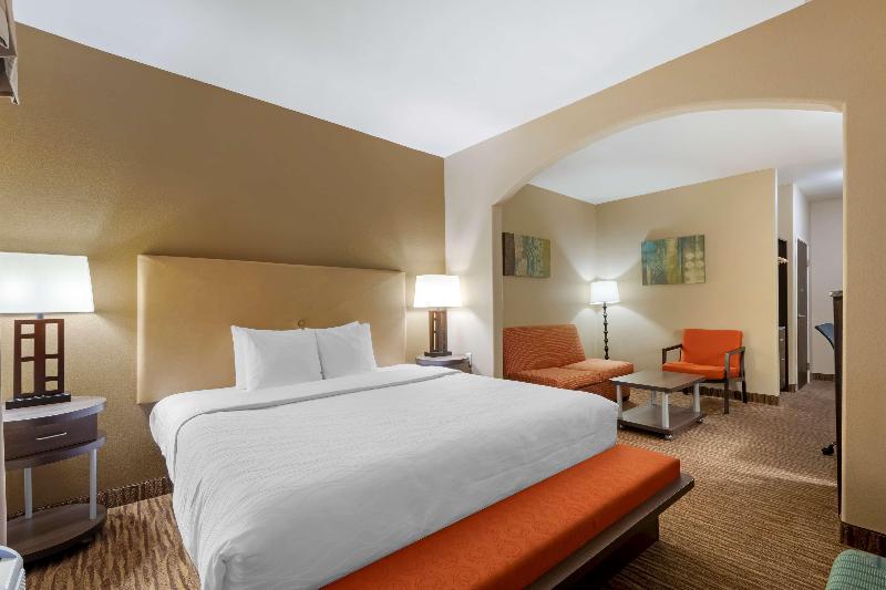 سوئیت با تخت بزرگ, Best Western Plus Dfw Airport Suites