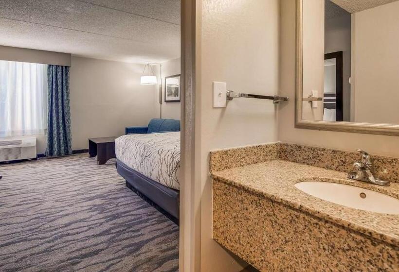 Standard Szoba, Best Western Plus Knoxville Cedar Bluff