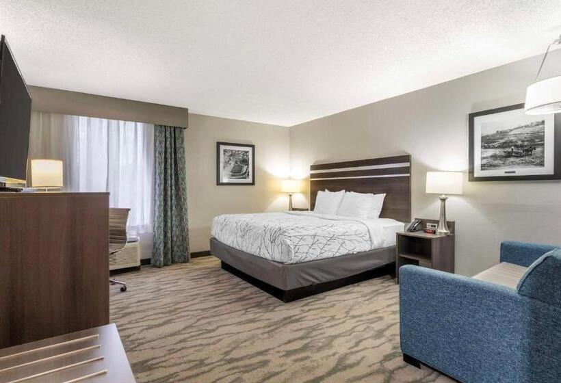 Mozgáskorlátozott Standard Szoba King Size Bed, Best Western Plus Knoxville Cedar Bluff