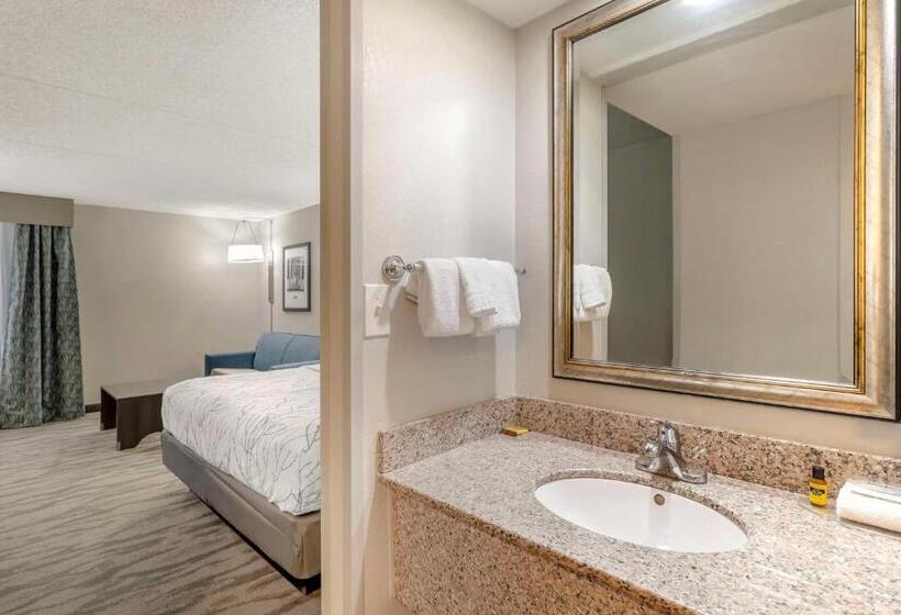Standard Szoba King Size Bed, Best Western Plus Knoxville Cedar Bluff