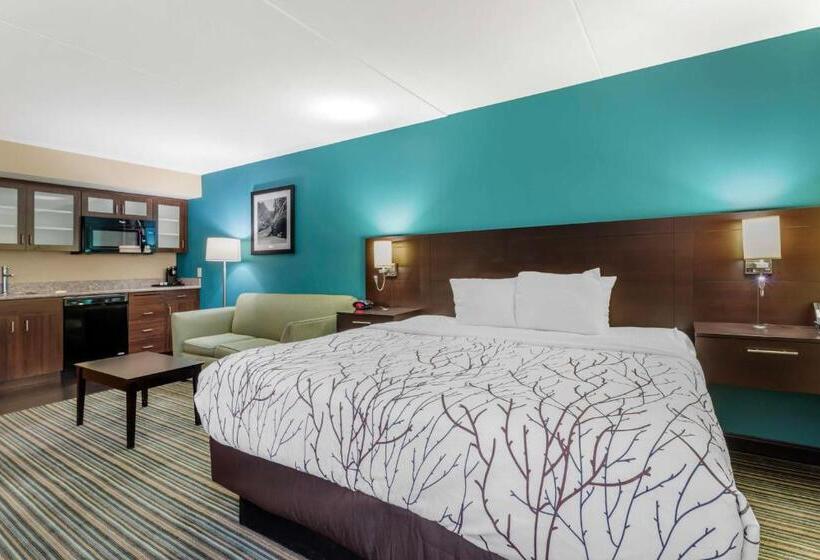 Suite King Size Bed, Best Western Plus Knoxville Cedar Bluff