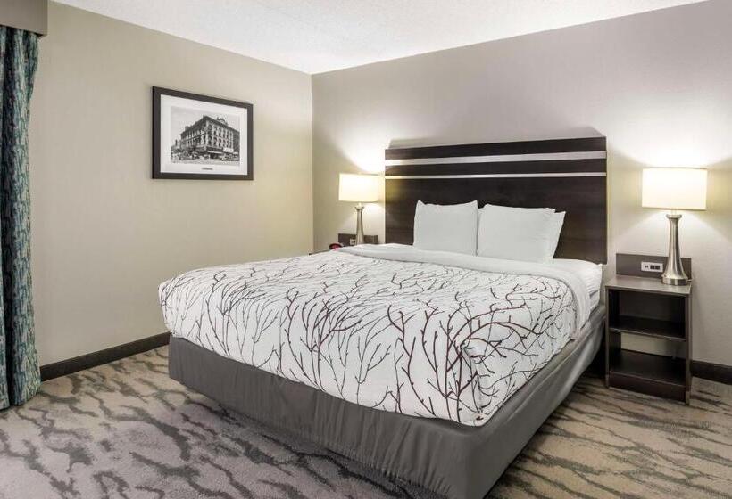 Suite King Size Bed, Best Western Plus Knoxville Cedar Bluff