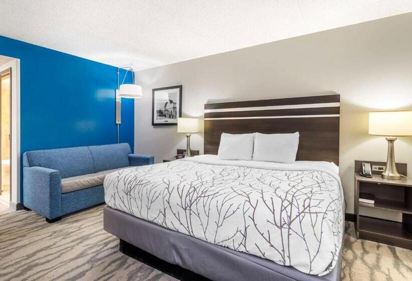 Mozgáskorlátozott Standard Szoba King Size Bed, Best Western Plus Knoxville Cedar Bluff