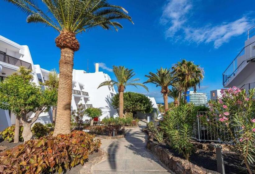 סוויטת ג'וניור עם טרסה, Sol Fuerteventura Jandia - All Suites