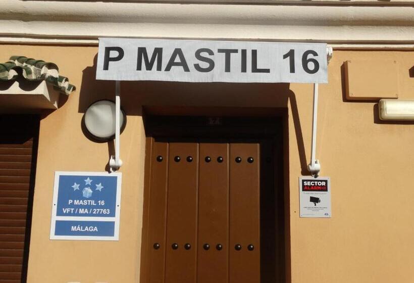 اتاق استاندارد چهار تخته, Pensión Mastil 16. P2