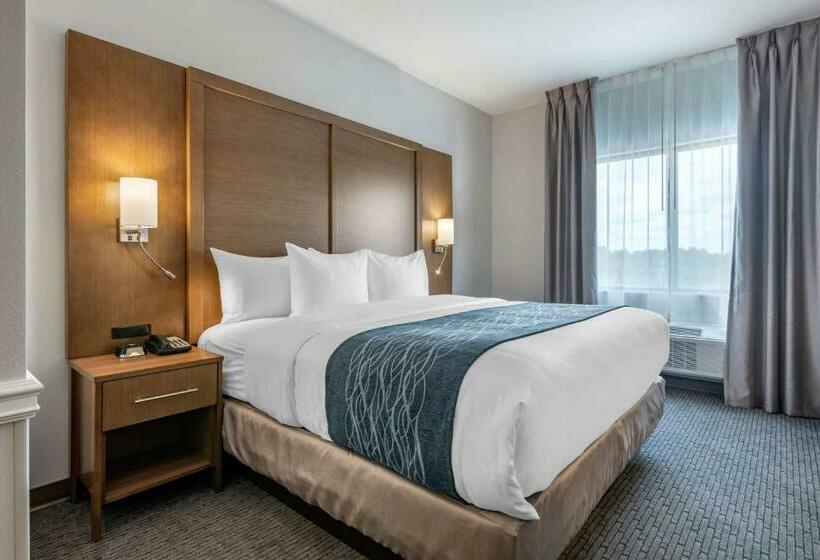 Люкс Кровать Кинг, Comfort Suites Stuarthutchinson Island