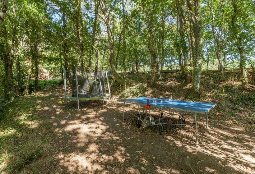 خانه 1 خوابه, Forest House Casinha Do Carvalhal