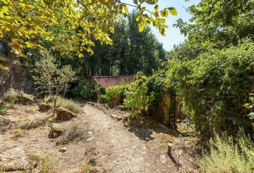 خانه 1 خوابه, Forest House Casinha Do Carvalhal