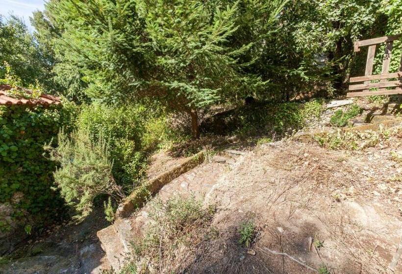 خانه 1 خوابه, Forest House Casinha Do Carvalhal