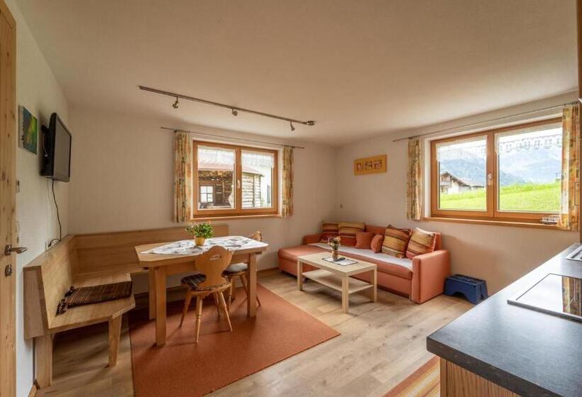 آپارتمان 1 خوابه با چشم‌انداز باغ, Forsthaus Schoppernau
