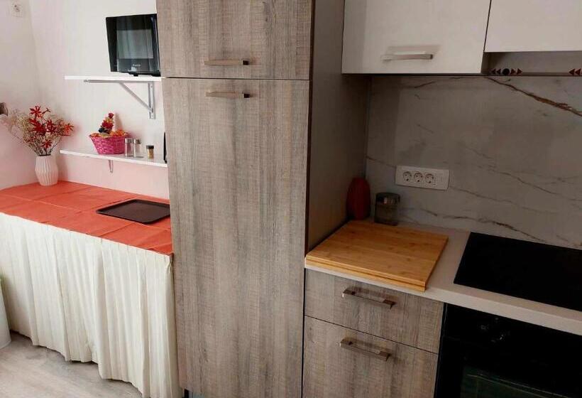 اتاق استاندارد, Guesthouse Ob Sotočju Budič