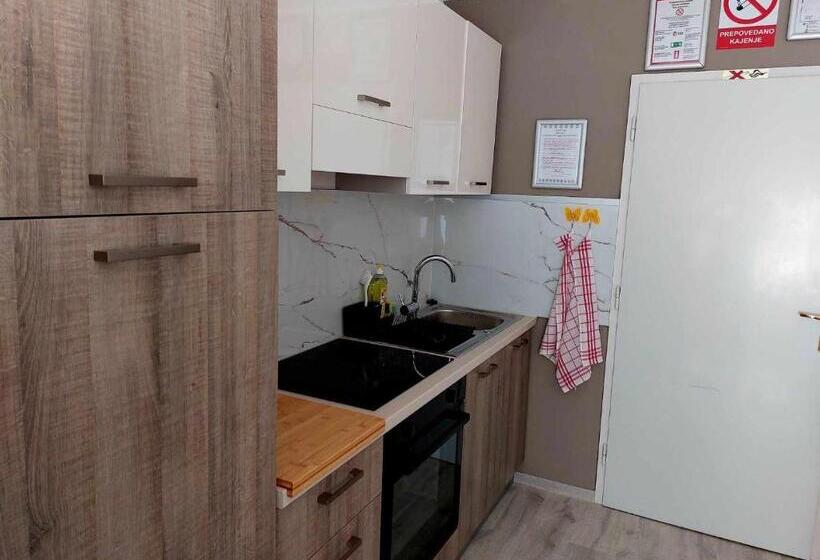 سوئیت با چشم‌انداز رودخانه, Guesthouse Ob Sotočju Budič