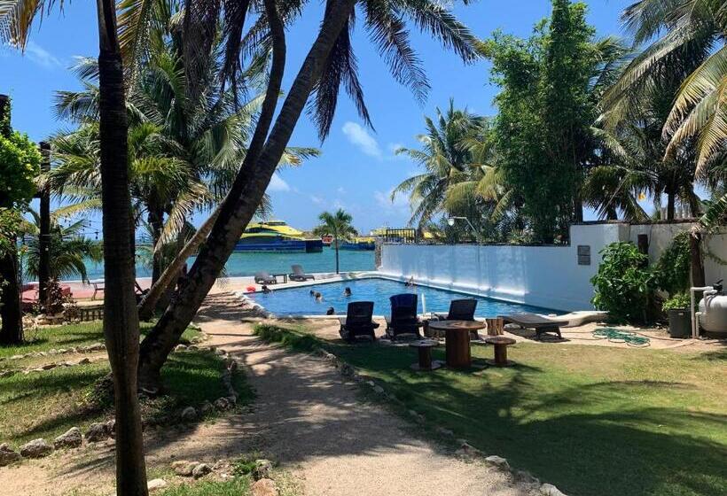 سوئیت جونیور با تراس, Casa Caribe Cancun