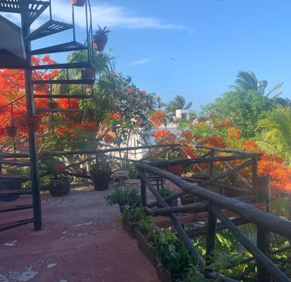 سوئیت جونیور با تراس, Casa Caribe Cancun