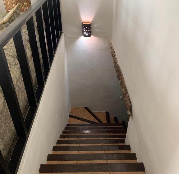 سوئیت جونیور با تراس, Casa Caribe Cancun