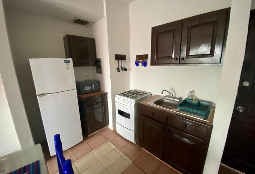 آپارتمان 1 خوابه با بالکن, Casa Caribe Cancun