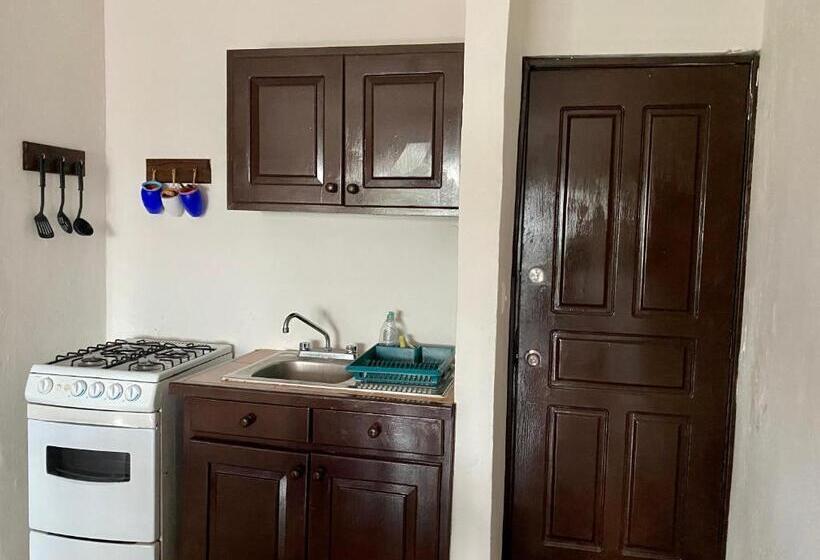 آپارتمان 1 خوابه با بالکن, Casa Caribe Cancun