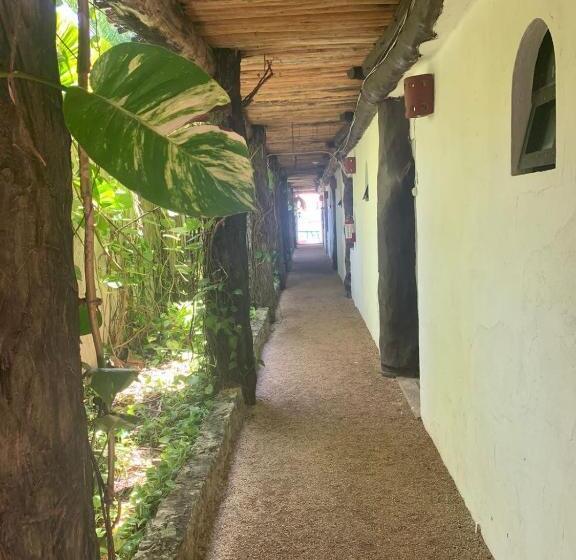 آپارتمان 2 خوابه, Casa Caribe Cancun