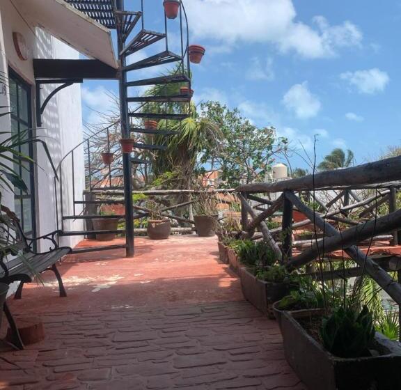 سوئیت جونیور با تراس, Casa Caribe Cancun