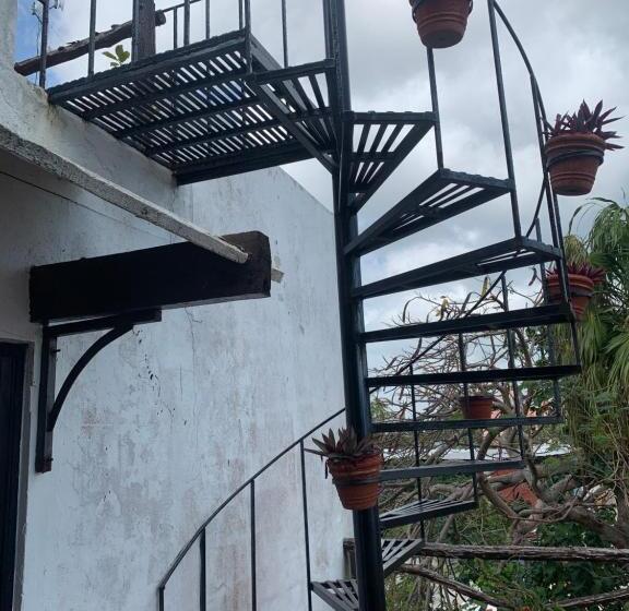 سوئیت جونیور با تراس, Casa Caribe Cancun