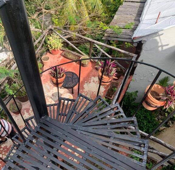 سوئیت جونیور با تراس, Casa Caribe Cancun