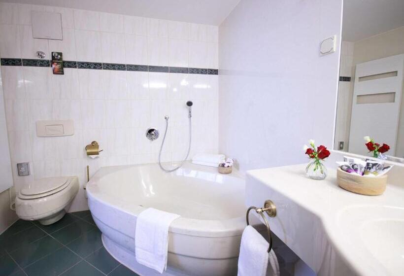 Люкс, Mercure Hotel Riesa Dresden Elbland