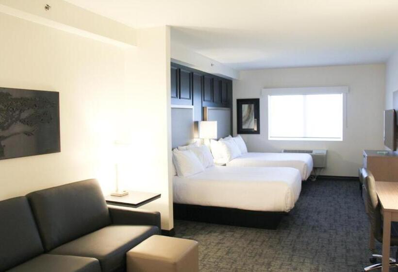 套房, Best Western Plus Winkler