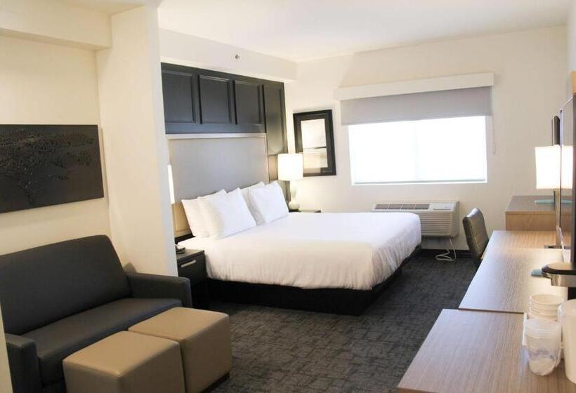 适合残疾人士使用的套间, Best Western Plus Winkler