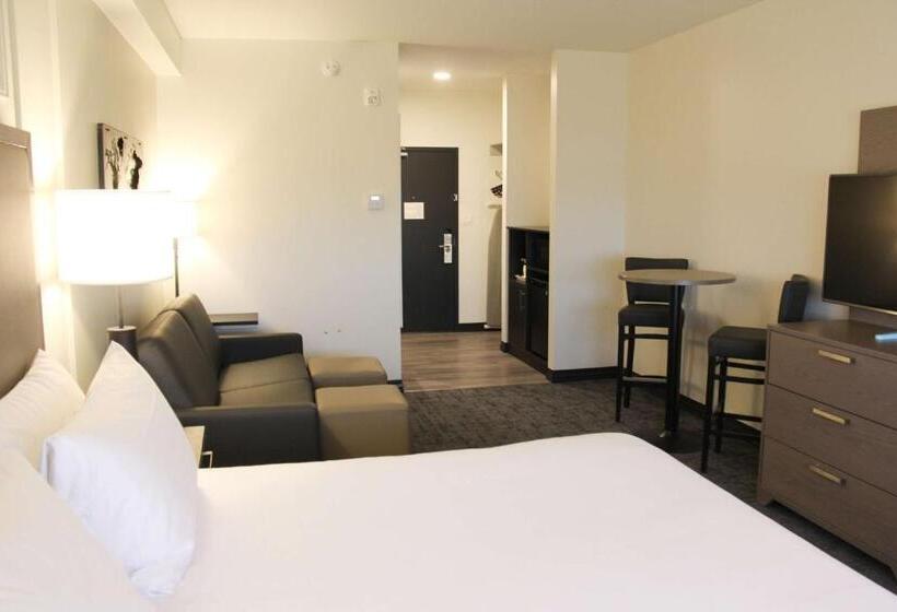带大床的标准间, Best Western Plus Winkler