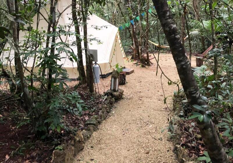 家庭间, Rotamundos Mama Loomm