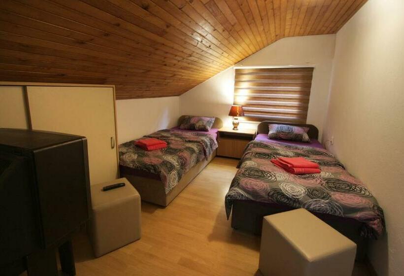 اتاق استاندارد با سرویس بهداشتی مشترک, Hostel Topić