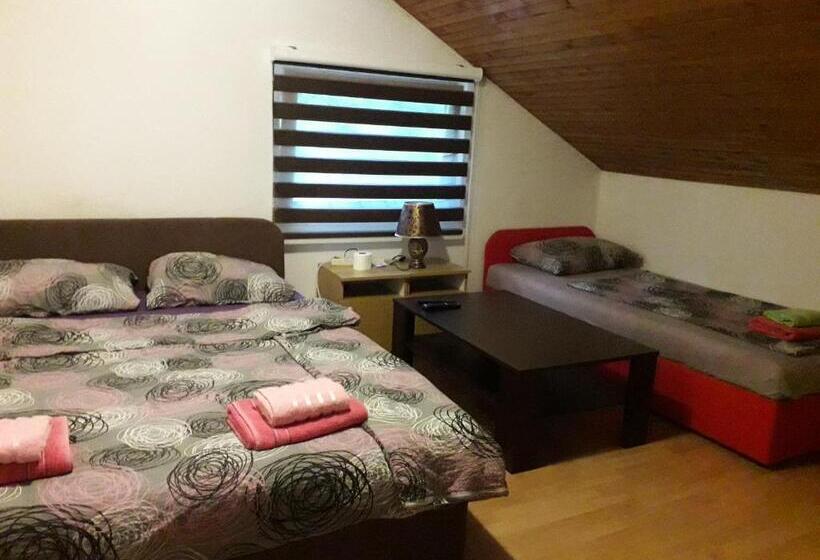 اتاق استاندارد با سرویس بهداشتی مشترک, Hostel Topić