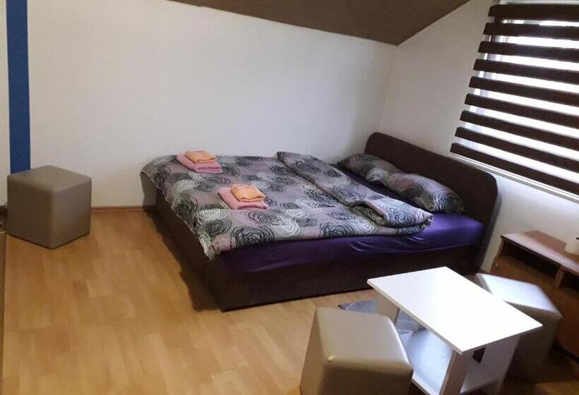 اتاق خانوادگی, Hostel Topić