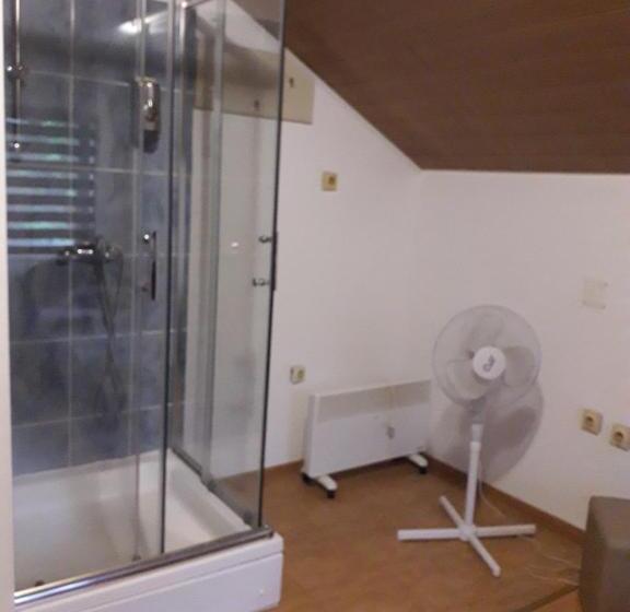 اتاق خانوادگی, Hostel Topić