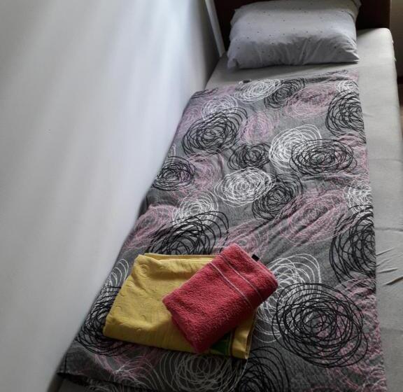 اتاق ساده سه‌ نفره, Hostel Topić