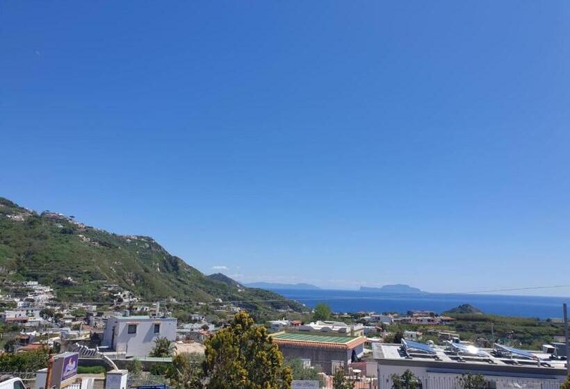 آپارتمان 1 خوابه با چشم‌انداز دریا, Mareluna Ischia