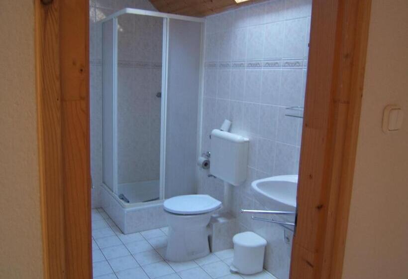 Студио Стандарт с Балконом, Jankó Apartman