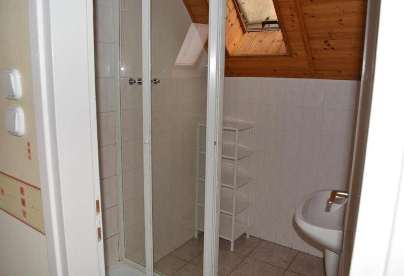 Апартаменты Пентхаус 2 Спальни, Jankó Apartman