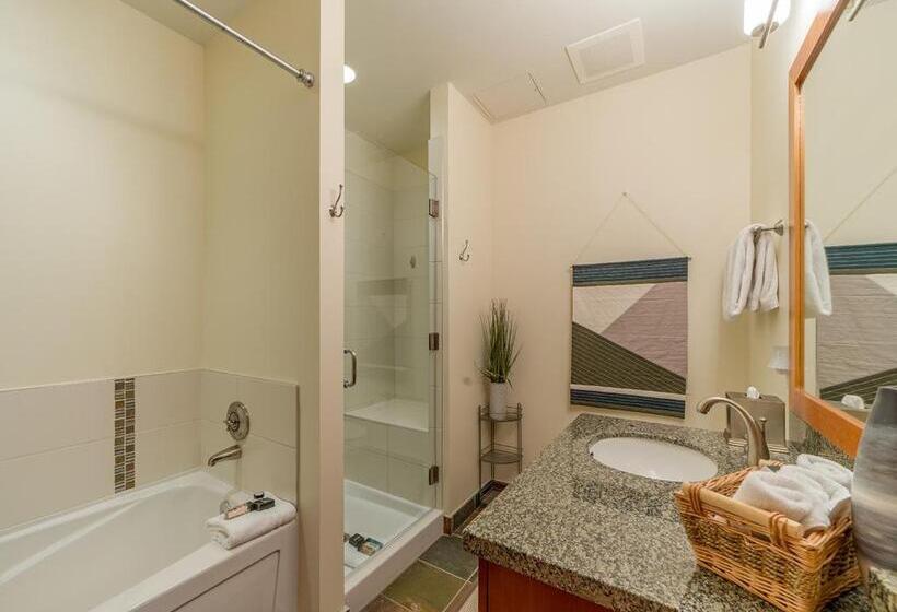 Апартаменты 1 Спальня, Capitol Peak Lodge By Snowmass Mountain Lodging