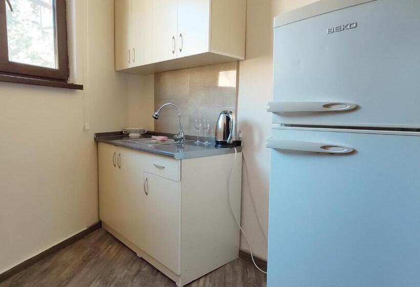استودیوی استاندارد, Guest House Gelit