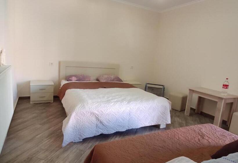 استودیوی استاندارد, Guest House Gelit