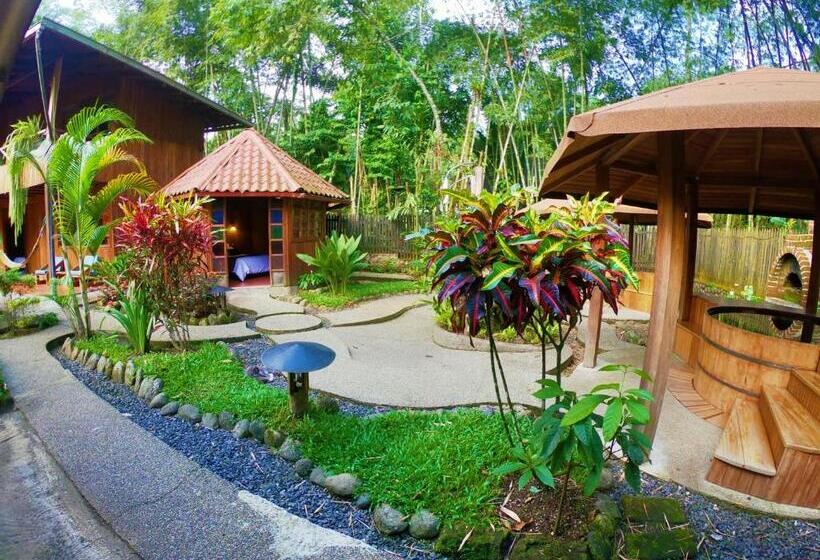 Номер Стандарт Индивидуальный, El Jardín Hotel & Restaurante