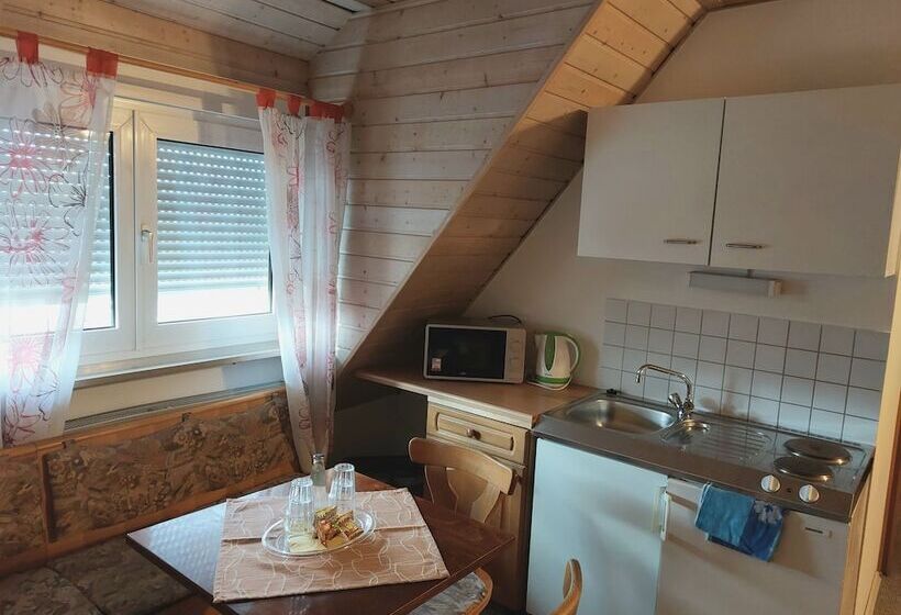 Семейное Студио, Gästehaus Langhammer