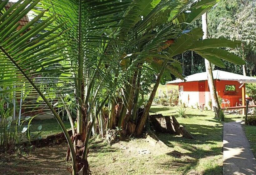اتاق استاندارد با تراس, Finca Valeria Treehouses Glamping