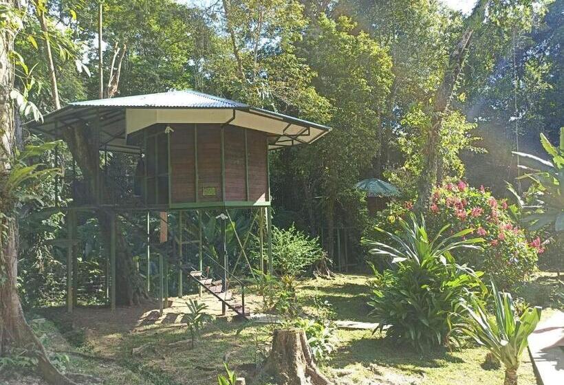 اتاق استاندارد با تراس, Finca Valeria Treehouses Glamping